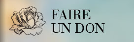 banner-don1
