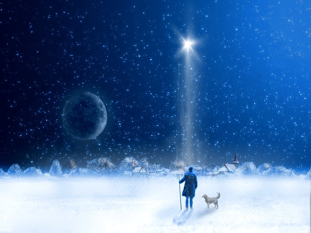 christmas star at night